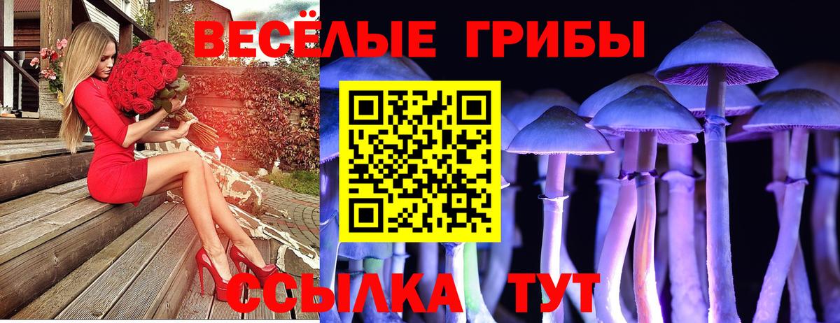 Галлюциногенные грибы MAGIC MUSHROOMS  купить закладку  Тверь  Вход с VPN 