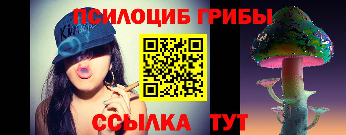 Псилоцибиновые грибы мицелий Тверь